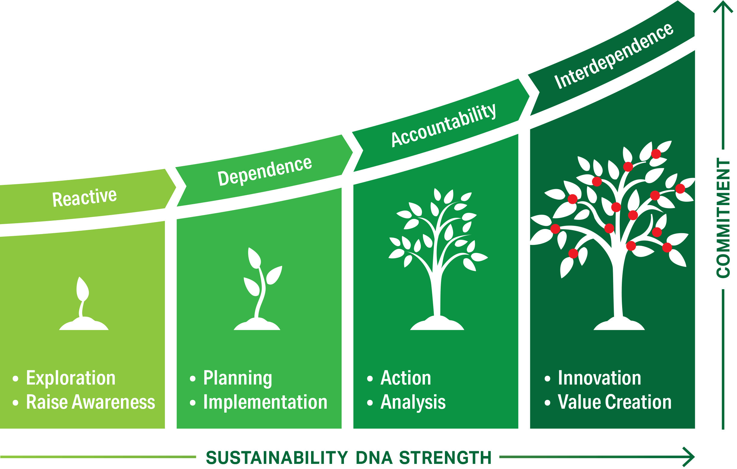 Sustainability Graphic